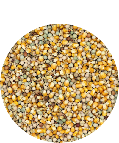 Porumbei Classic All-Round 20kg