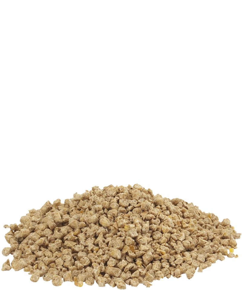 Dindo 1 Crumble 20kg