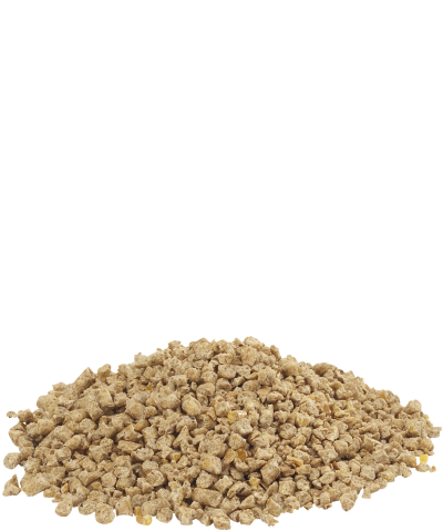 Dindo 1 Crumble 20kg