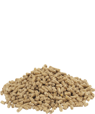 Dindo 2.2 pellet 20kg