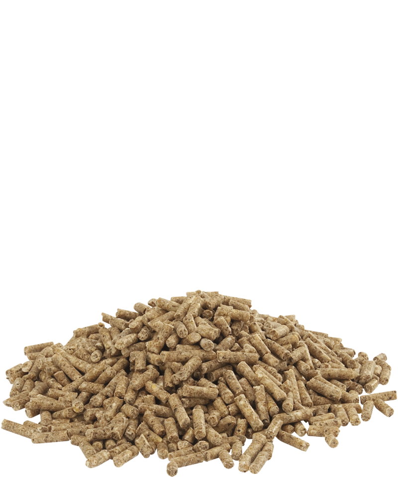 Duck 2 pellet 20kg