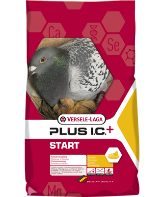 Porumbei Start Plus IC 20 kg