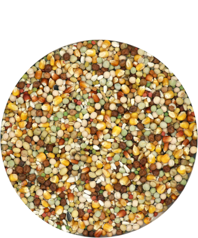 Porumbei Start Plus IC 20 kg