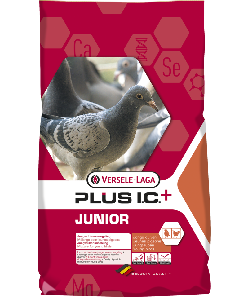 Porumbei Junior Plus IC 20 kg