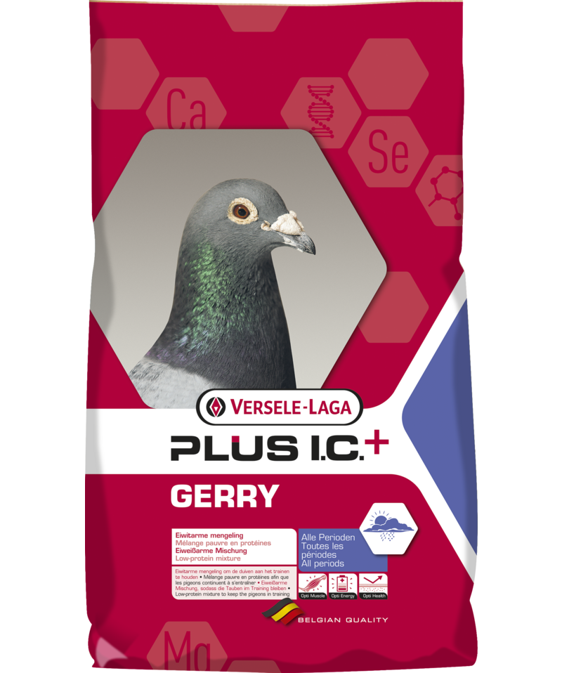 Porumbei Gerry Plus IC 20 kg