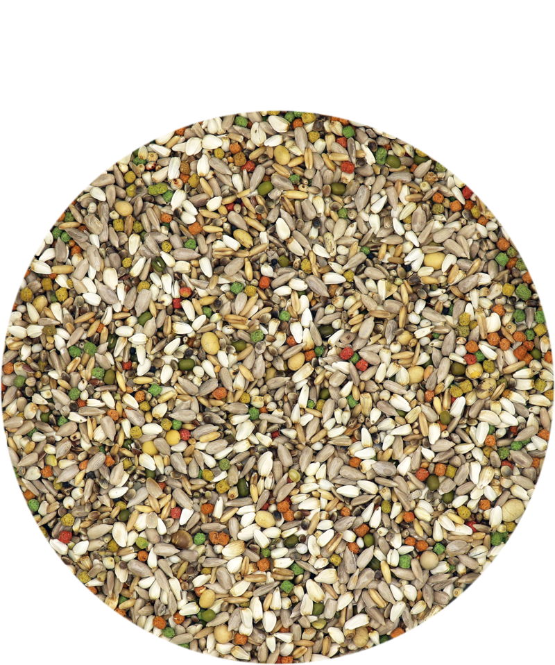 Porumbei Energy Plus IC 18 kg