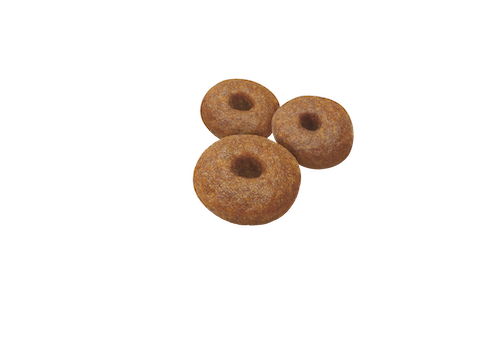 Starter Mother & Babydog - Maxi 8kg