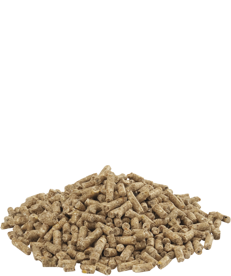 Broiler Farm 2 Pellet 20kg