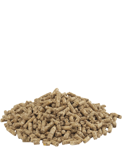 Broiler Farm 2 Pellet 20kg