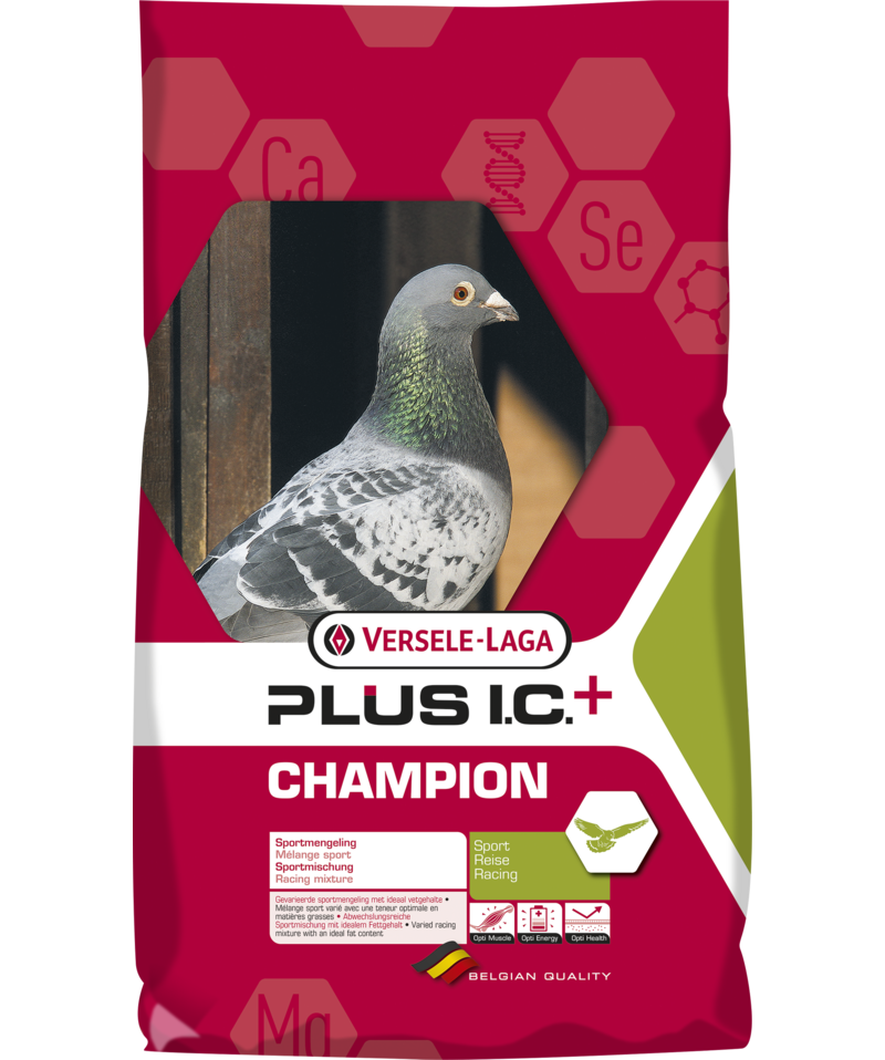 Porumbei Champion Plus IC 20 kg